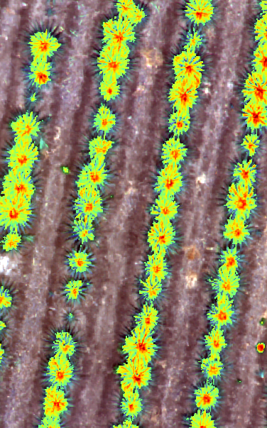 Harvest Terrain Image