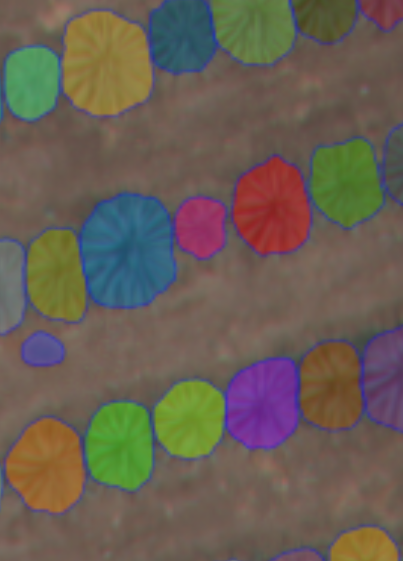 Harvest Colossus Image